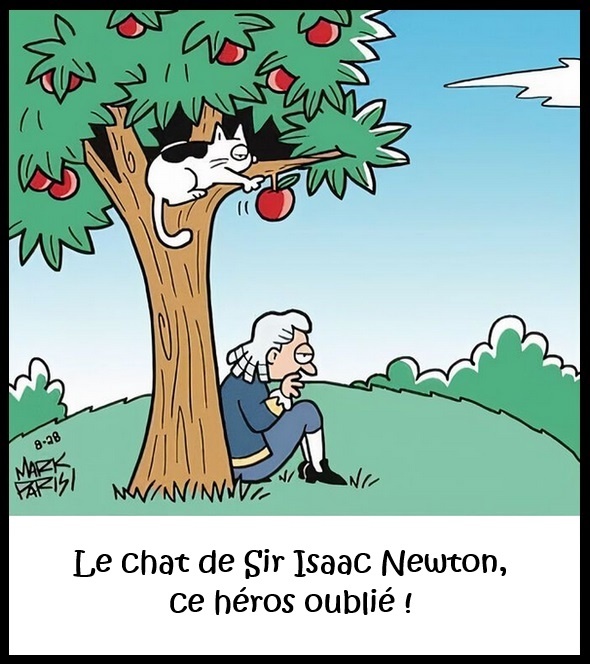 Caricature humoristique d'un chat blanc tacheté sur une branche d'arbre aux pommes rouges. Le chat fait tomber une pomme rouge. Sir Isaac Newton en costume d'époque avec perruque et lunettes, assis au pied de l'arbre, la main au menton. Texte en bas : Le chat de Sir Isaac Newton, ce héros oublié !