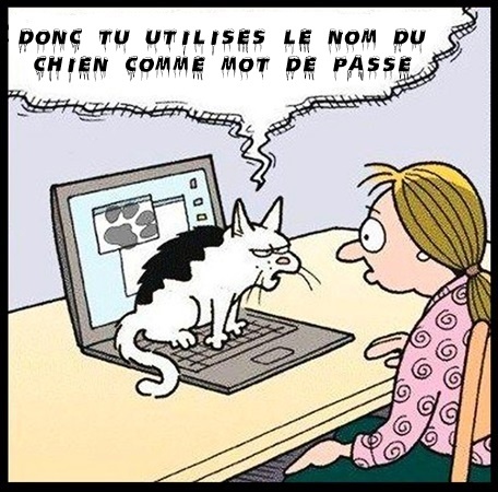 Dessin humoristique d'une femme blonde aux cheveux en queue de cheval portant une chemise rose assise à une table devant un ordinateur portable ouvert. Un chat blanc avec des taches noires est assis sur le clavier du portable. L'écran de l'ordinateur affiche des empreintes de pattes. Au-dessus, un texte en capitales : DONC TU UTILISE LE NOM DU CHIEN COMME MOT DE PASSE