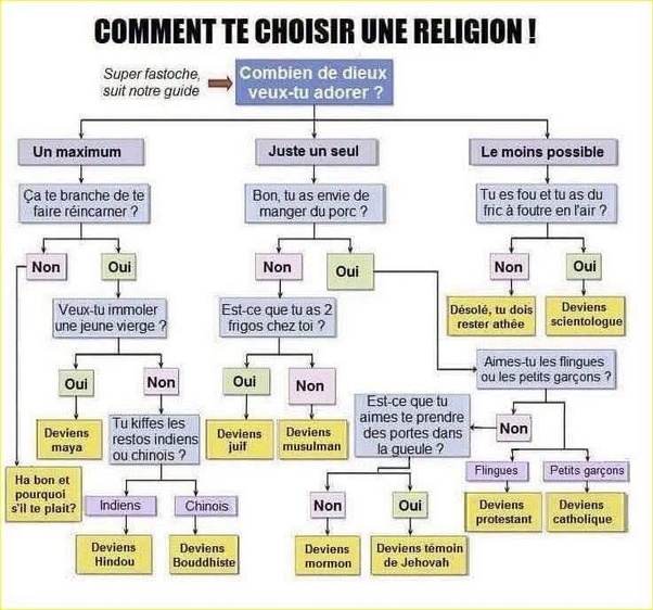 Flowchart intitulé COMMENT TE CHOISIR UNE RELIGION avec branches de décision sur le nombre de dieux, la réincarnation, la consommation de porc et d'autres questions menant à des religions comme hindouisme, bouddhisme, islam, judaïsme, christianisme et scientologie.