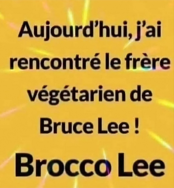 Image meme sur fond jaune avec rayons et texte en noir : Aujourd’hui, j’ai rencontré le frère végétarien de Bruce Lee ! Brocco Lee.