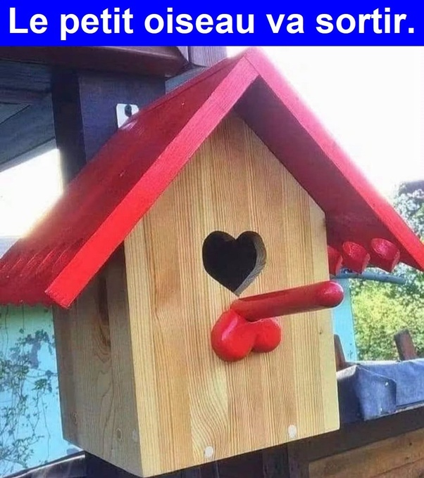 Cabane à oiseaux en bois avec toit rouge, entrée en forme de cœur et perchoir rouge sculpté, bannière bleue avec texte Le petit oiseau va sortir.