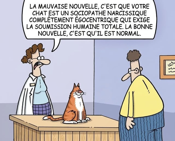 Bande dessinée humoristique d'une vétérinaire en blouse blanche parlant à un homme en chemise jaune devant un chat roux assis sur une table dans un cabinet vétérinaire, avec une bulle de texte : 'LA MAUVAISE NOUVELLE, C'EST QUE VOTRE CHAT EST UN SOCIOPATHE NARCISSIQUE COMPLÈTEMENT ÉGOCENTRIQUE QUI EXIGE LA SOUMISSION HUMAINE TOTALE. LA BONNE NOUVELLE, C'EST QU'IL EST NORMAL.'